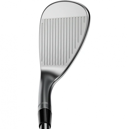 WEEDGE COBRA SILVER VERSATILE