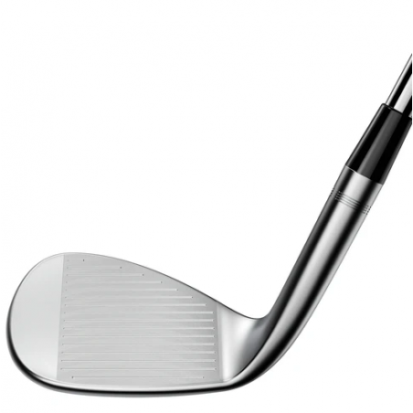 WEEDGE COBRA SILVER VERSATILE