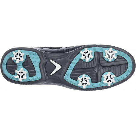 CALLAWAY TRIBUNAL DE JUSTIÇA