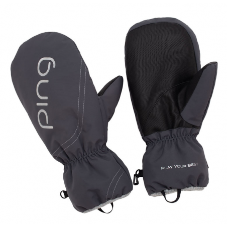 MANOBRAS PING GRIS DE LADY